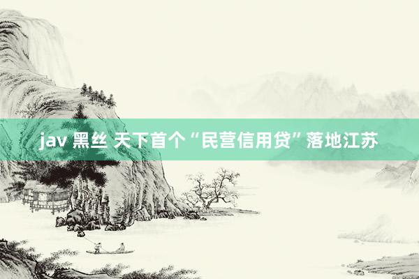 jav 黑丝 天下首个“民营信用贷”落地江苏