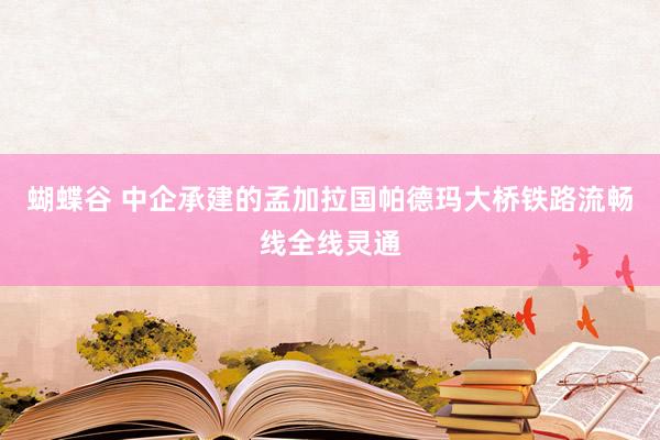 蝴蝶谷 中企承建的孟加拉国帕德玛大桥铁路流畅线全线灵通