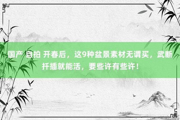 国产 自拍 开春后，这9种盆景素材无谓买，武断扦插就能活，要些许有些许！