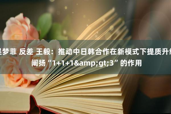 吴梦菲 反差 王毅：推动中日韩合作在新模式下提质升级 阐扬“1+1+1&gt;3”的作用