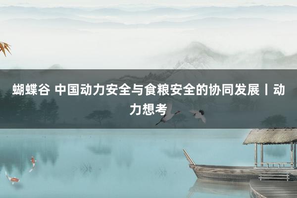 蝴蝶谷 中国动力安全与食粮安全的协同发展丨动力想考