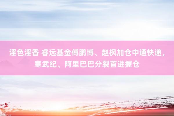 淫色淫香 睿远基金傅鹏博、赵枫加仓中通快递，寒武纪、阿里巴巴分裂首进握仓