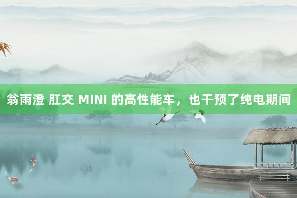 翁雨澄 肛交 MINI 的高性能车，也干预了纯电期间