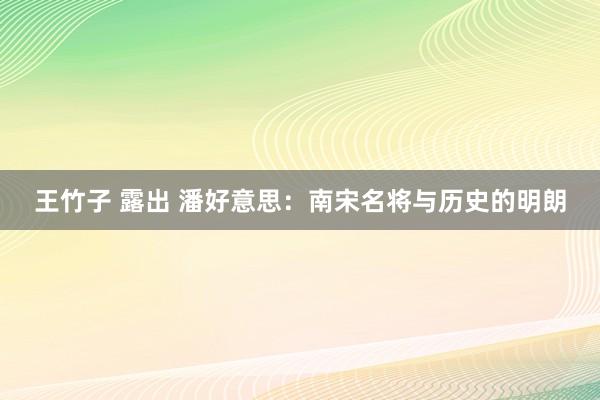 王竹子 露出 潘好意思：南宋名将与历史的明朗