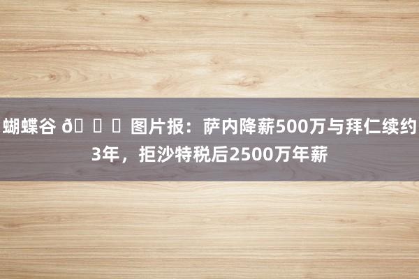 蝴蝶谷 👀图片报：萨内降薪500万与拜仁续约3年，拒沙特税后2500万年薪